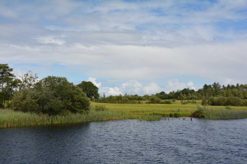 DSC_6164Mittel_.JPG